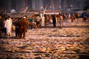 Ajman Fish Market 
